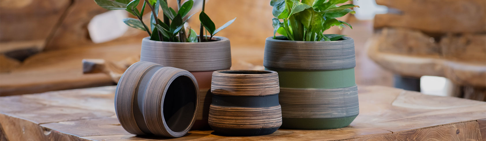 أحواض ملونة صغيرة