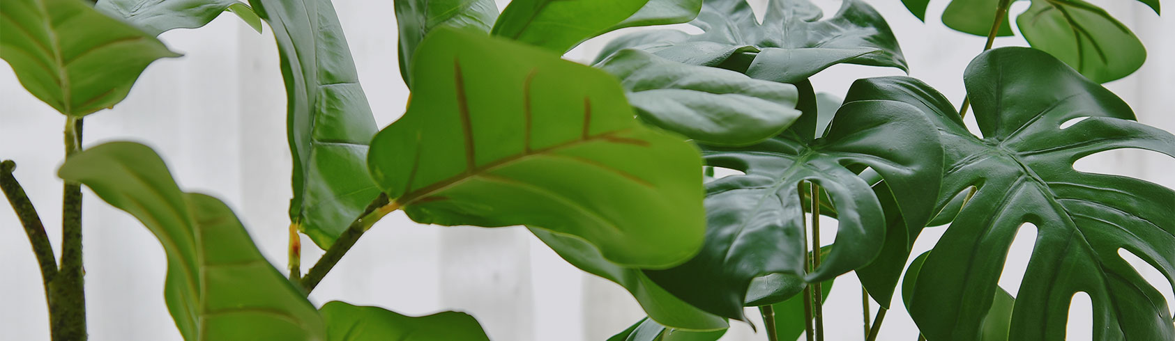 النباتات و النجيل الاصطناعي