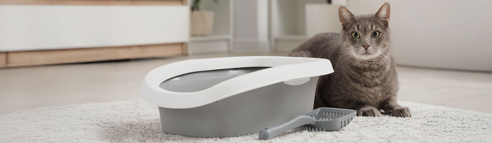 أرضيات الأحواض والأقفاص