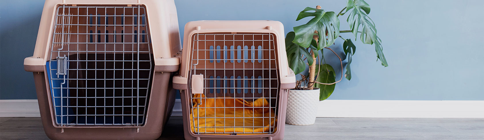 الأقفاص والبيوت