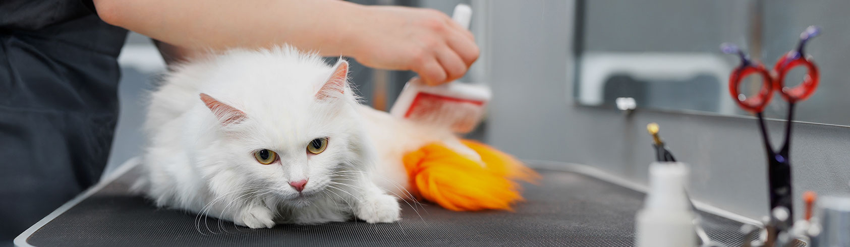 المنتجات الصحية